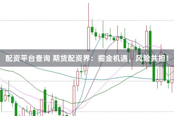 配资平台查询 期货配资界：掘金机遇，风险共担！