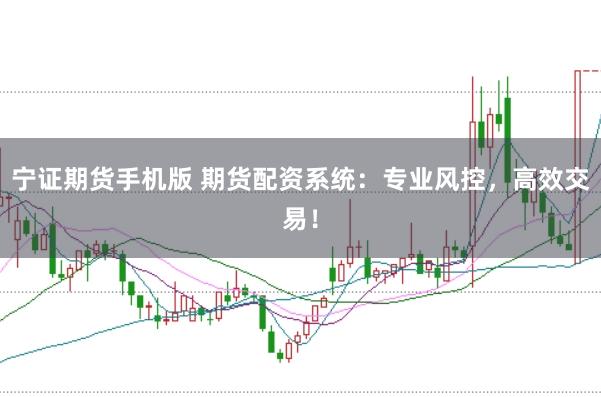 宁证期货手机版 期货配资系统：专业风控，高效交易！