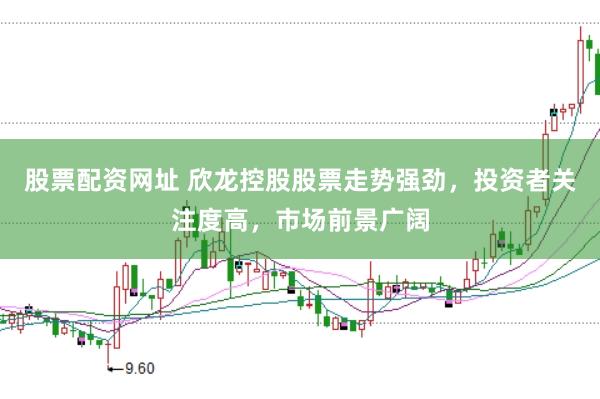 股票配资网址 欣龙控股股票走势强劲，投资者关注度高，市场前景广阔