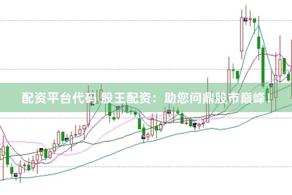 配资平台代码 股王配资：助您问鼎股市巅峰！