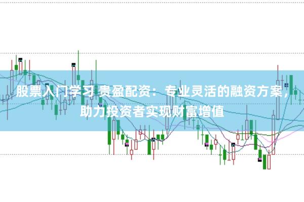 股票入门学习 贵盈配资：专业灵活的融资方案，助力投资者实现财富增值