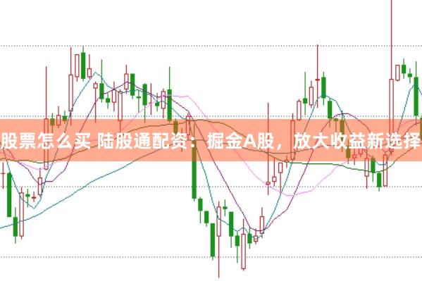 股票怎么买 陆股通配资：掘金A股，放大收益新选择