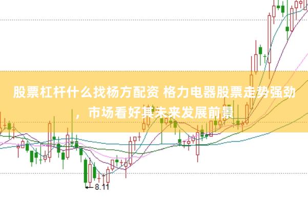 股票杠杆什么找杨方配资 格力电器股票走势强劲，市场看好其未来发展前景
