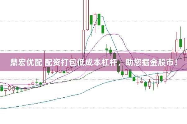 鼎宏优配 配资打包低成本杠杆，助您掘金股市！