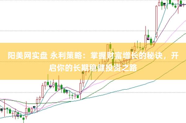 阳美网实盘 永利策略：掌握财富增长的秘诀，开启你的长期稳健投资之路