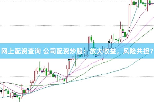 网上配资查询 公司配资炒股：放大收益，风险共担？