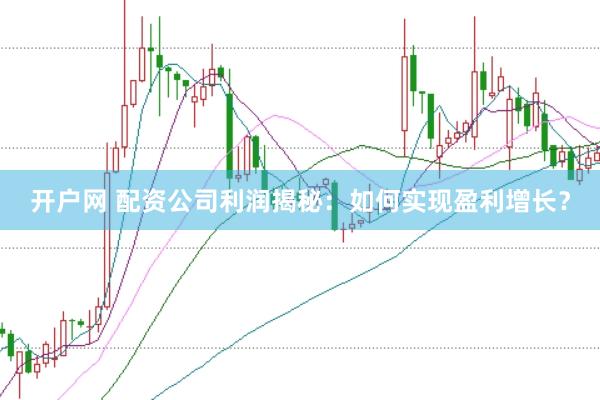 开户网 配资公司利润揭秘：如何实现盈利增长？