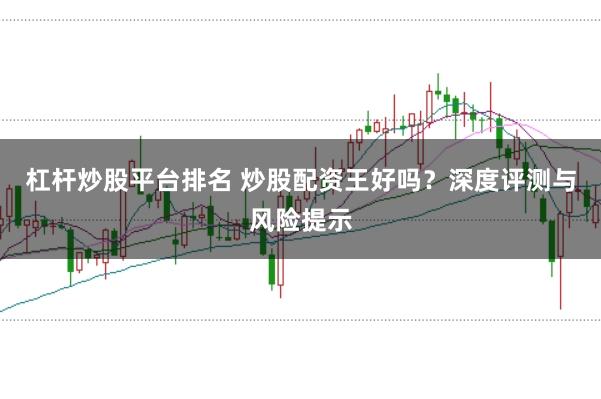 杠杆炒股平台排名 炒股配资王好吗?深度评测与风险提示