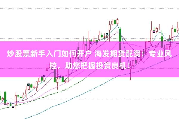 炒股票新手入门如何开户 海发期货配资:专业风控,助您把握投资良机!