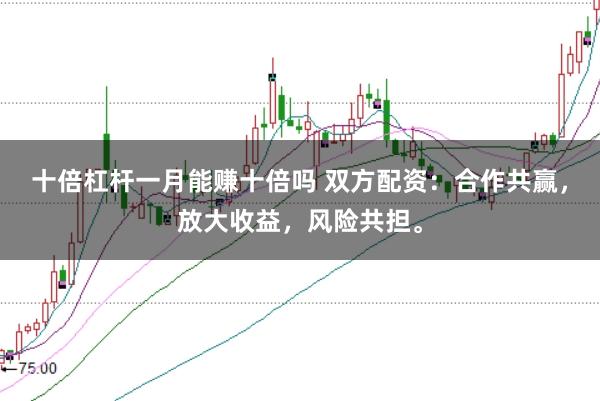 十倍杠杆一月能赚十倍吗 双方配资：合作共赢，放大收益，风险共担。