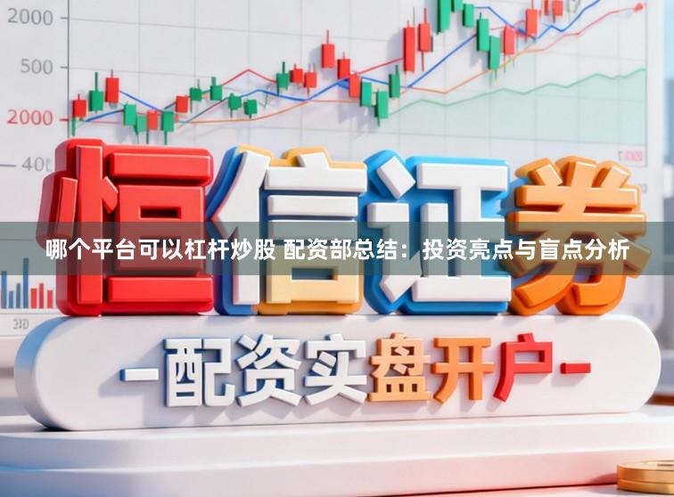 哪个平台可以杠杆炒股 配资部总结：投资亮点与盲点分析