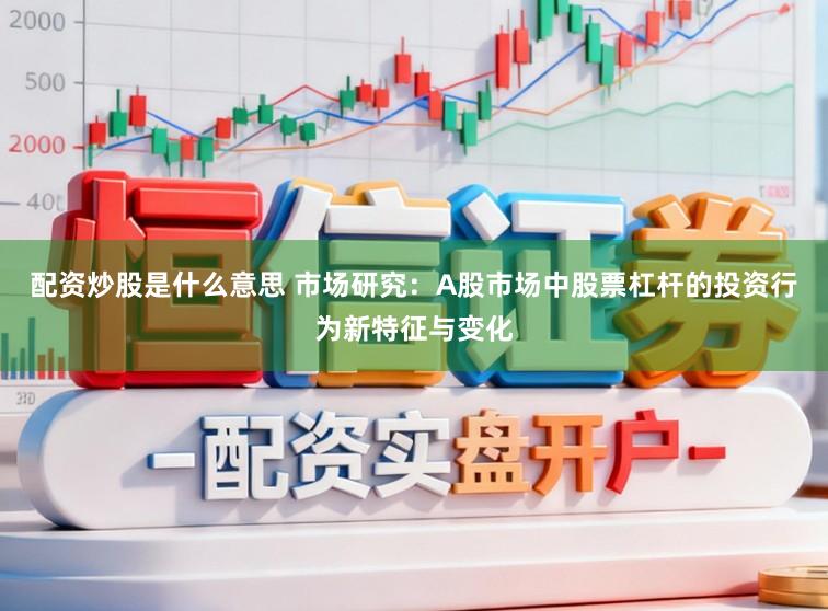 配资炒股是什么意思 市场研究：A股市场中股票杠杆的投资行为新特征与变化